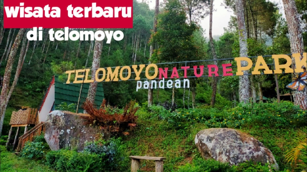 Telomoyo Nature Park: Destinasi Alam yang Menawan di Jawa Tengah